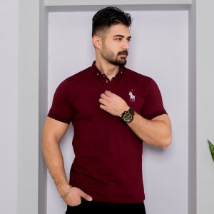 تیشرت POLO مردانه زرشکی مدل Havino