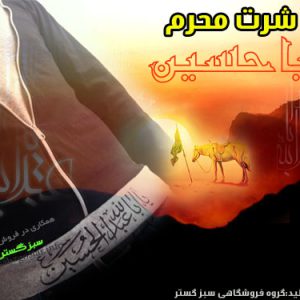 تیشرت طرح امام حسین
