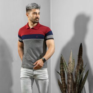 تیشرت مردانه رنگ طوسی زرشکی مدل chian