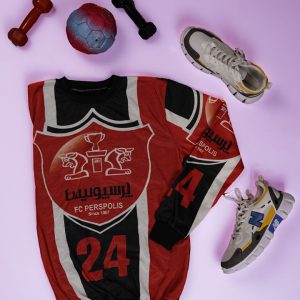 سویشرت مردانه Perspolis