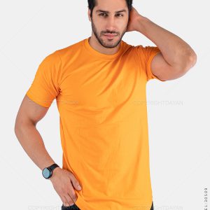 تیشرت مردانه Alma مدل 30509