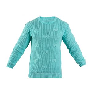 پلیور زاپ دار فیروزه ای مردانه مدل Deta