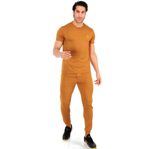 ست تیشرت شلوار مردانه آستین کوتاه Polo ساده یقه گرد مدل 43128