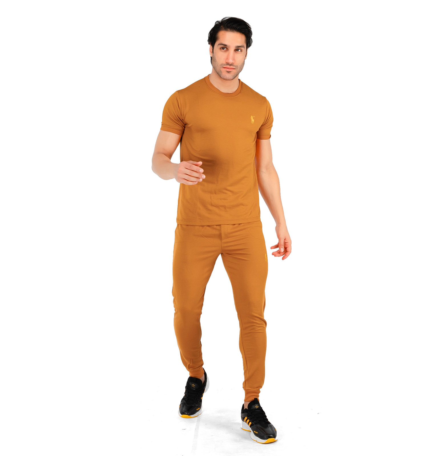 ست تیشرت شلوار مردانه آستین کوتاه Polo ساده یقه گرد مدل 43128