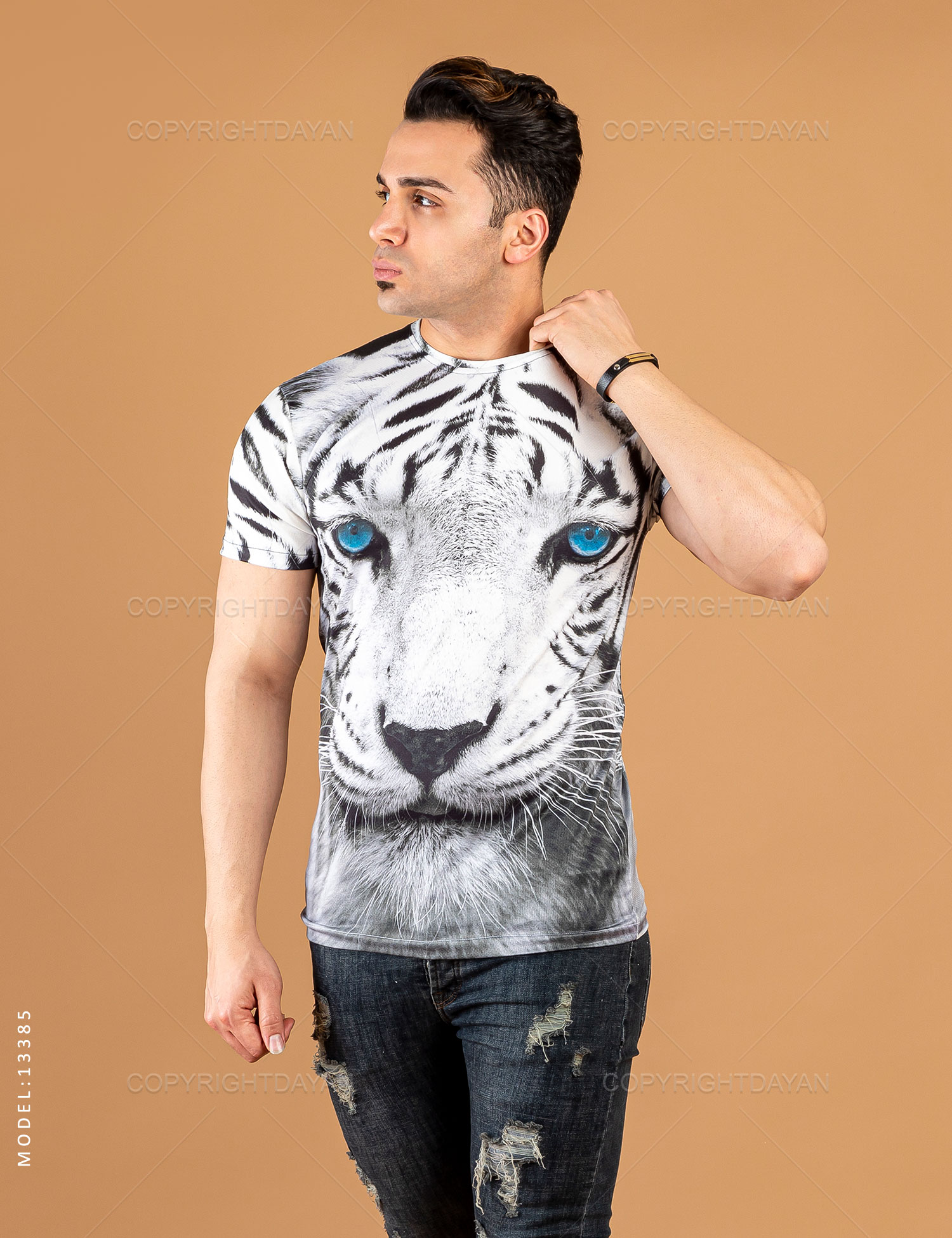تیشرت مردانه Alma مدل 13385