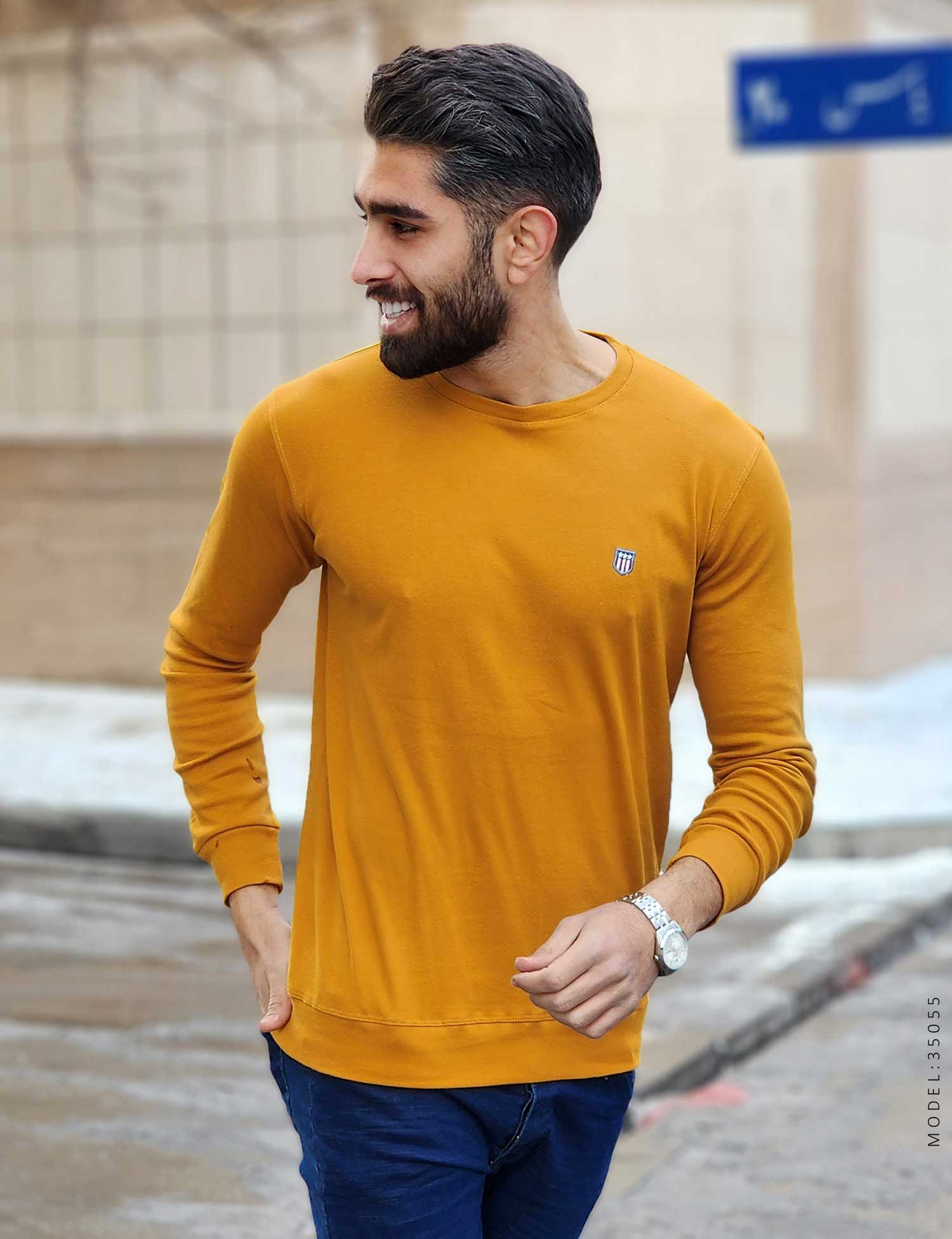 بلوز مردانه Enzo مدل 35055