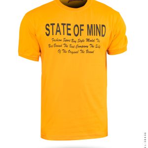 تیشرت مردانه یقه گرد Alma مدل 38446