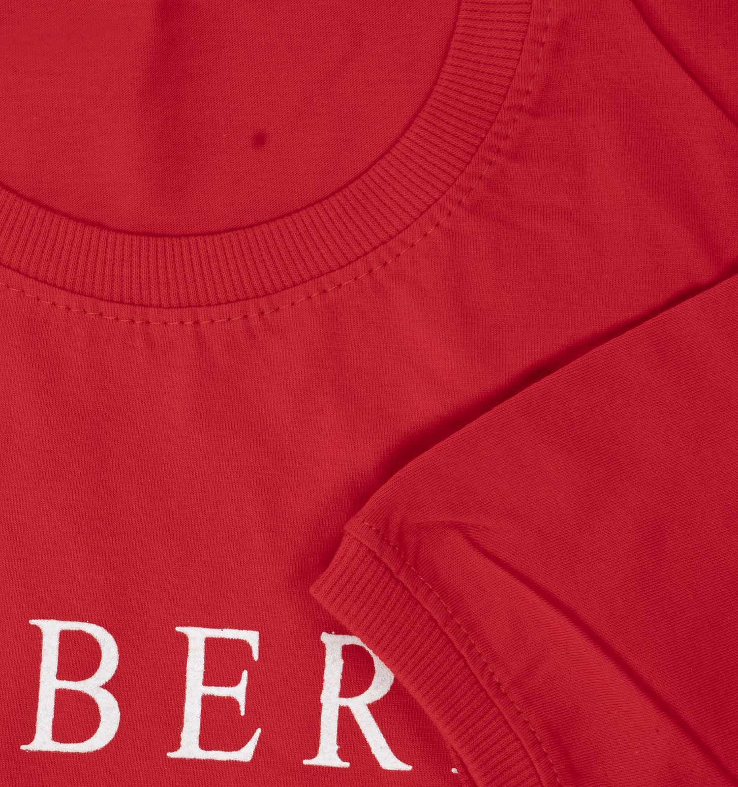 تیشرت مردانه یقه گرد Burberry مدل 38198