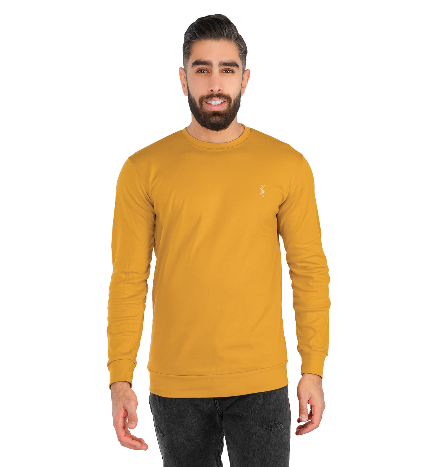 بلوز مردانه Polo مدل 41043