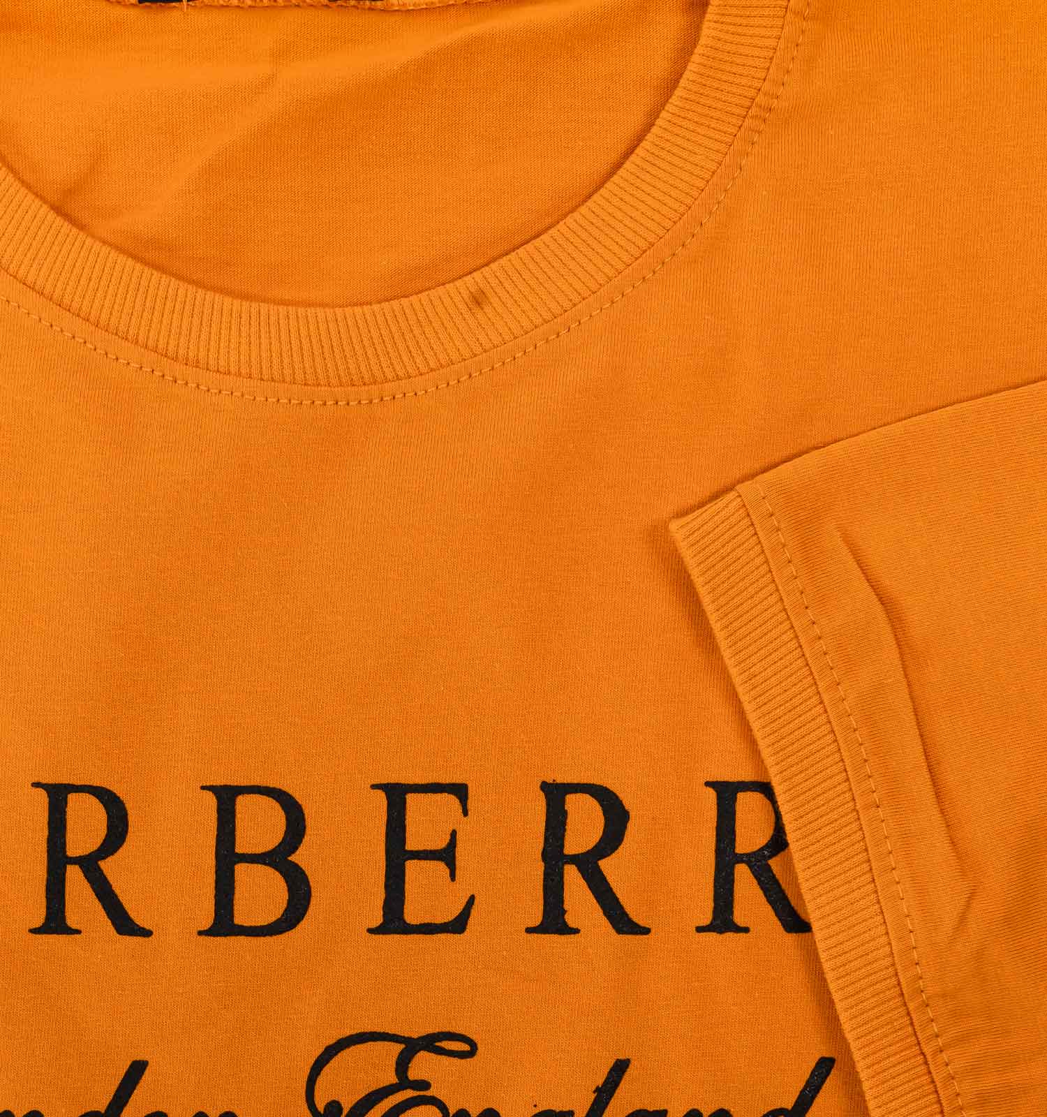 تیشرت مردانه یقه گرد Burberry مدل 38197