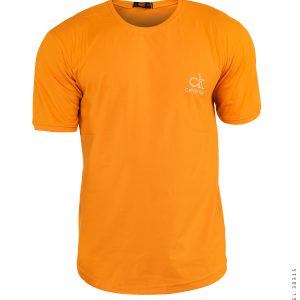 تیشرت مردانه یقه گرد Calvin Klein مدل 38315