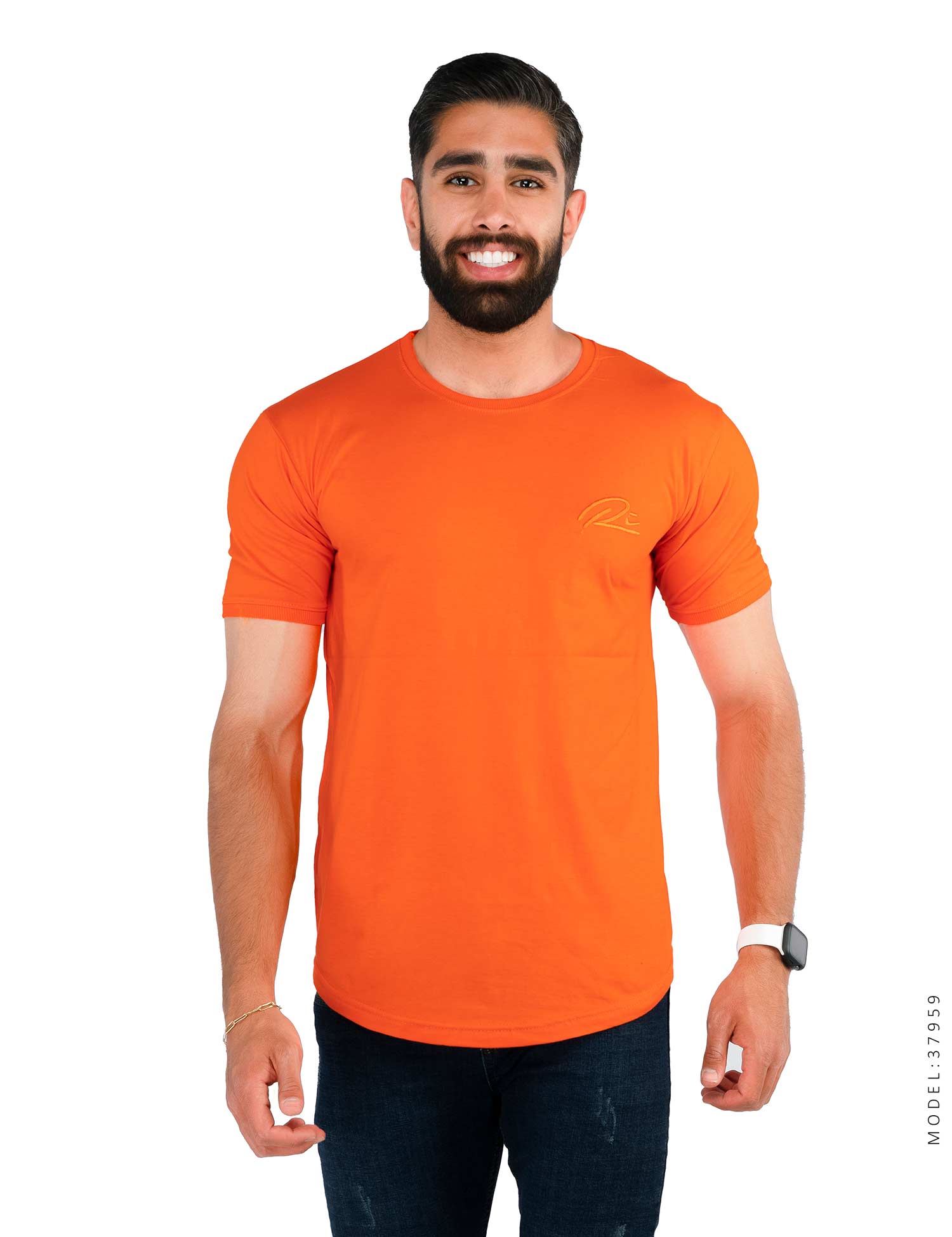 تیشرت مردانه یقه گرد Alma مدل 37959