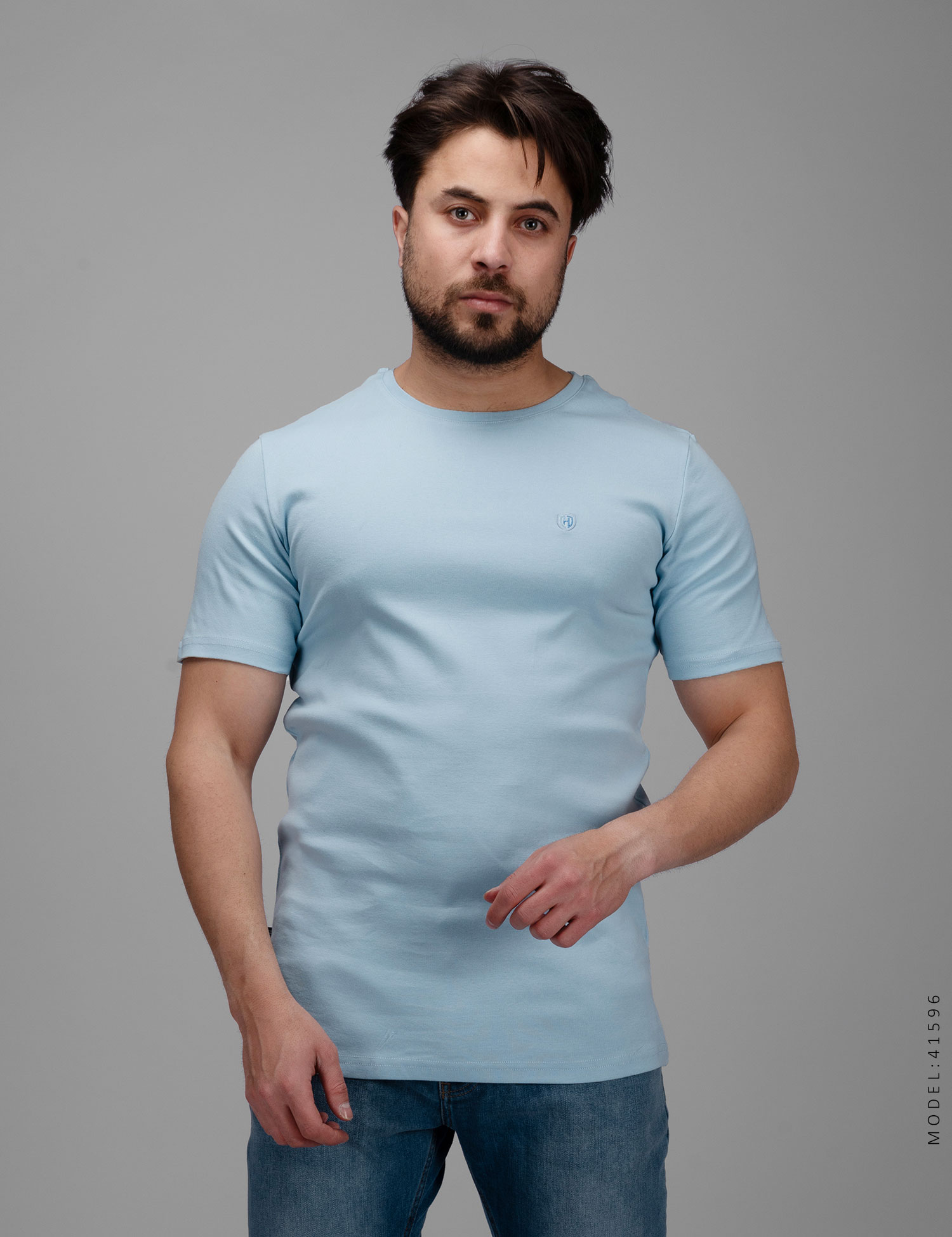تیشرت Rayan مردانه یقه گرد مدل 41596