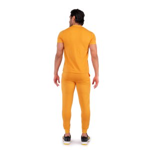 ست تیشرت شلوار مردانه آستین کوتاه Polo ساده یقه گرد مدل 43131