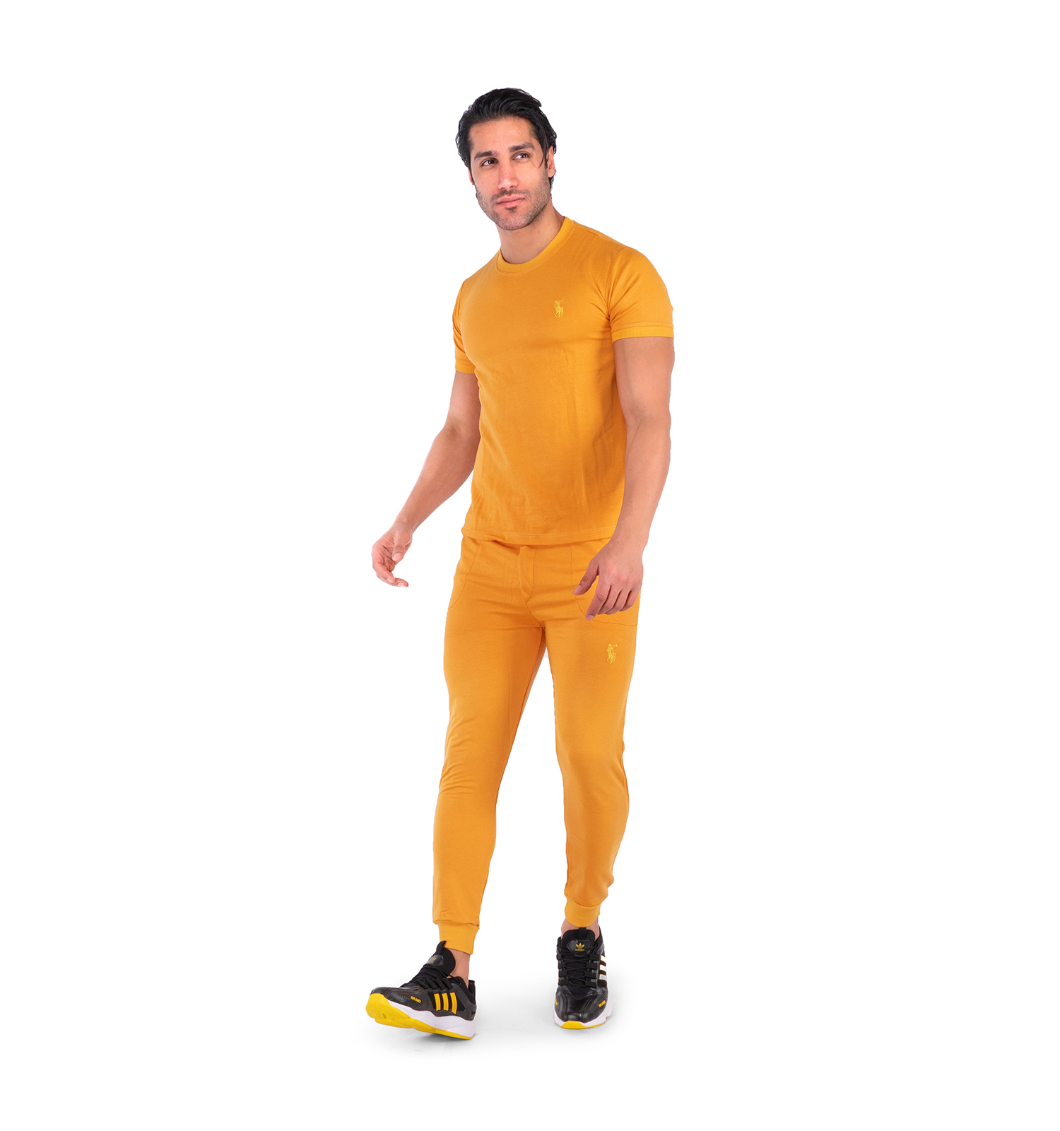 ست تیشرت شلوار مردانه آستین کوتاه Polo ساده یقه گرد مدل 43131