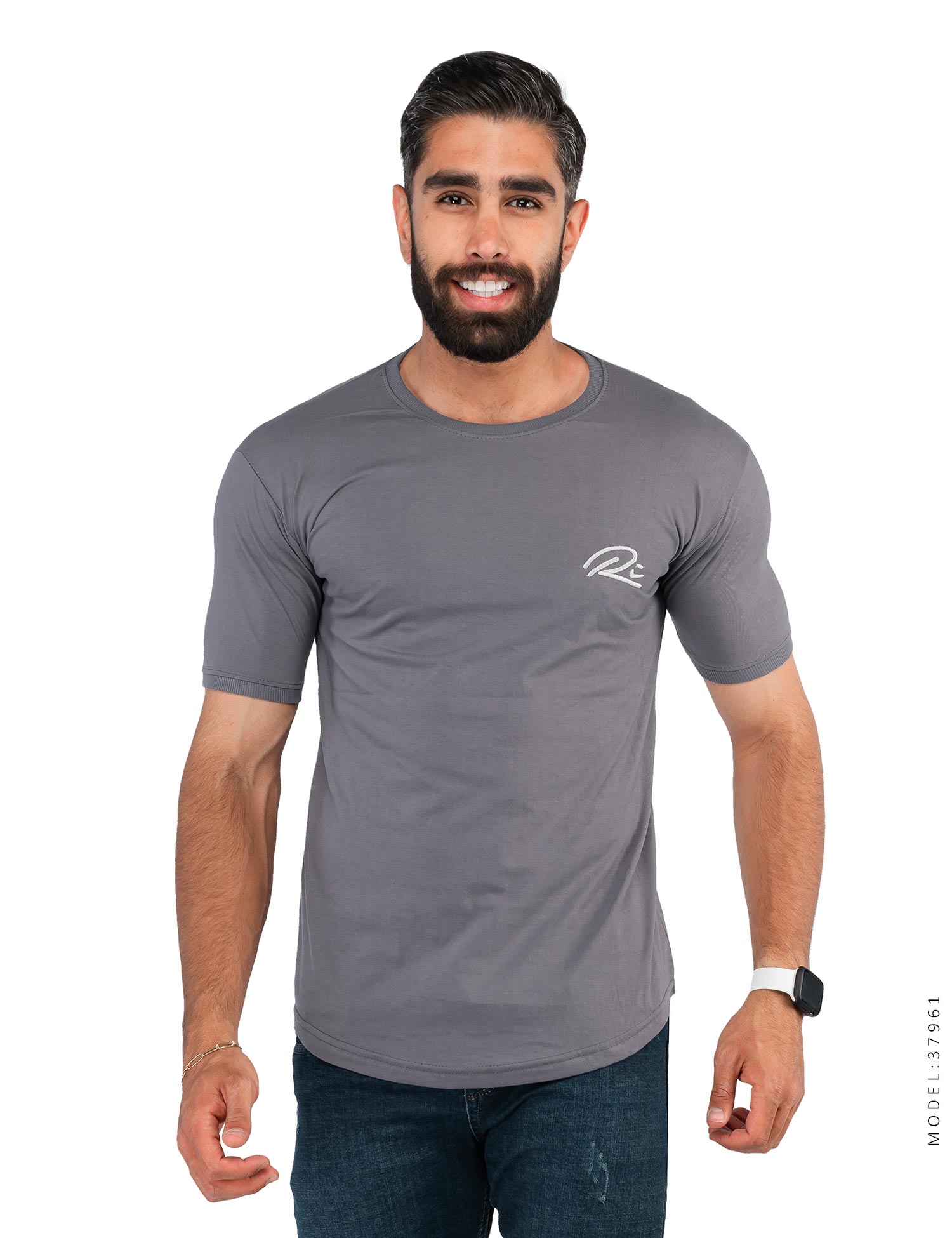 تیشرت مردانه یقه گرد Alma مدل 37961