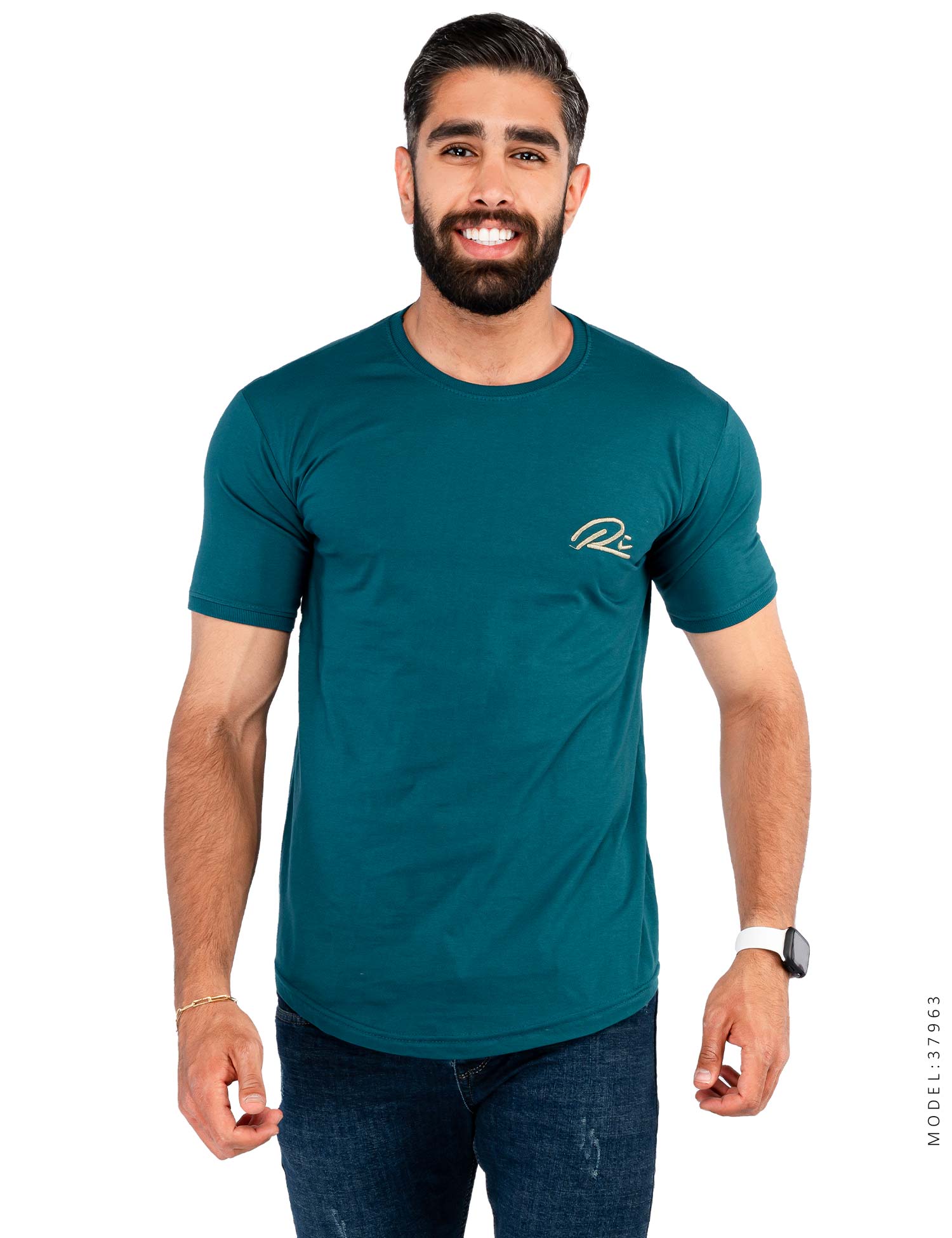 تیشرت مردانه یقه گرد Alma مدل 37963