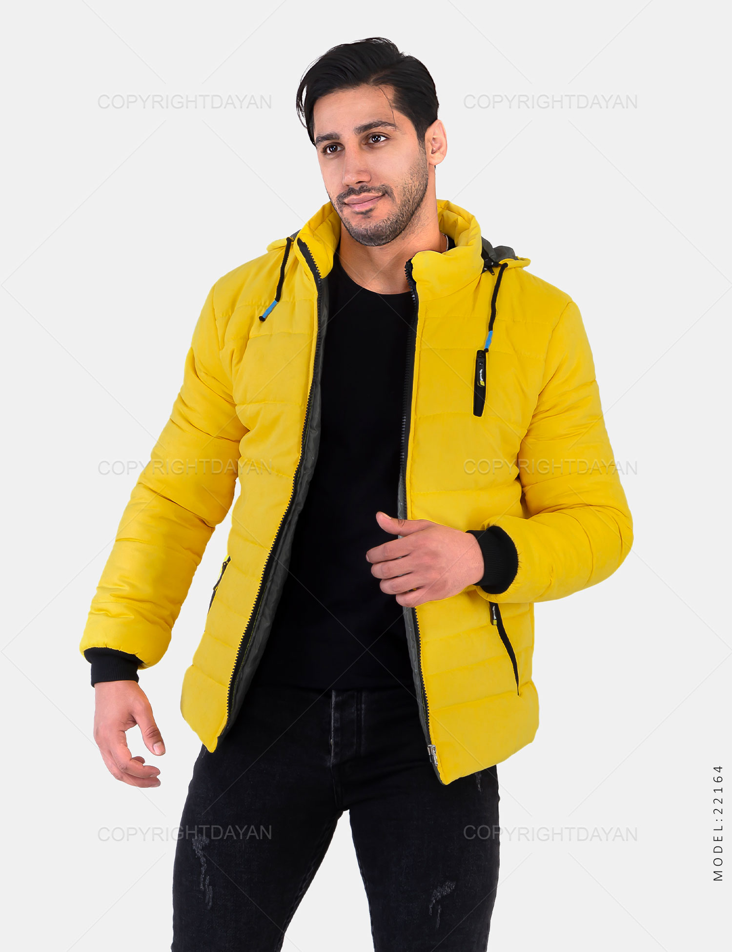 کاپشن مردانه Alvin مدل 22164