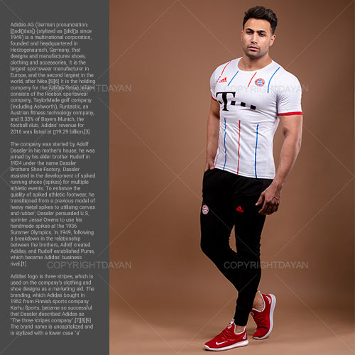 ست تیشرت شلوار مردانه Bayern مدل Ripo
