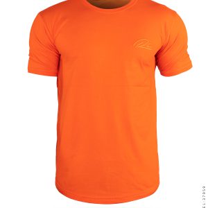 تیشرت مردانه یقه گرد Alma مدل 37959