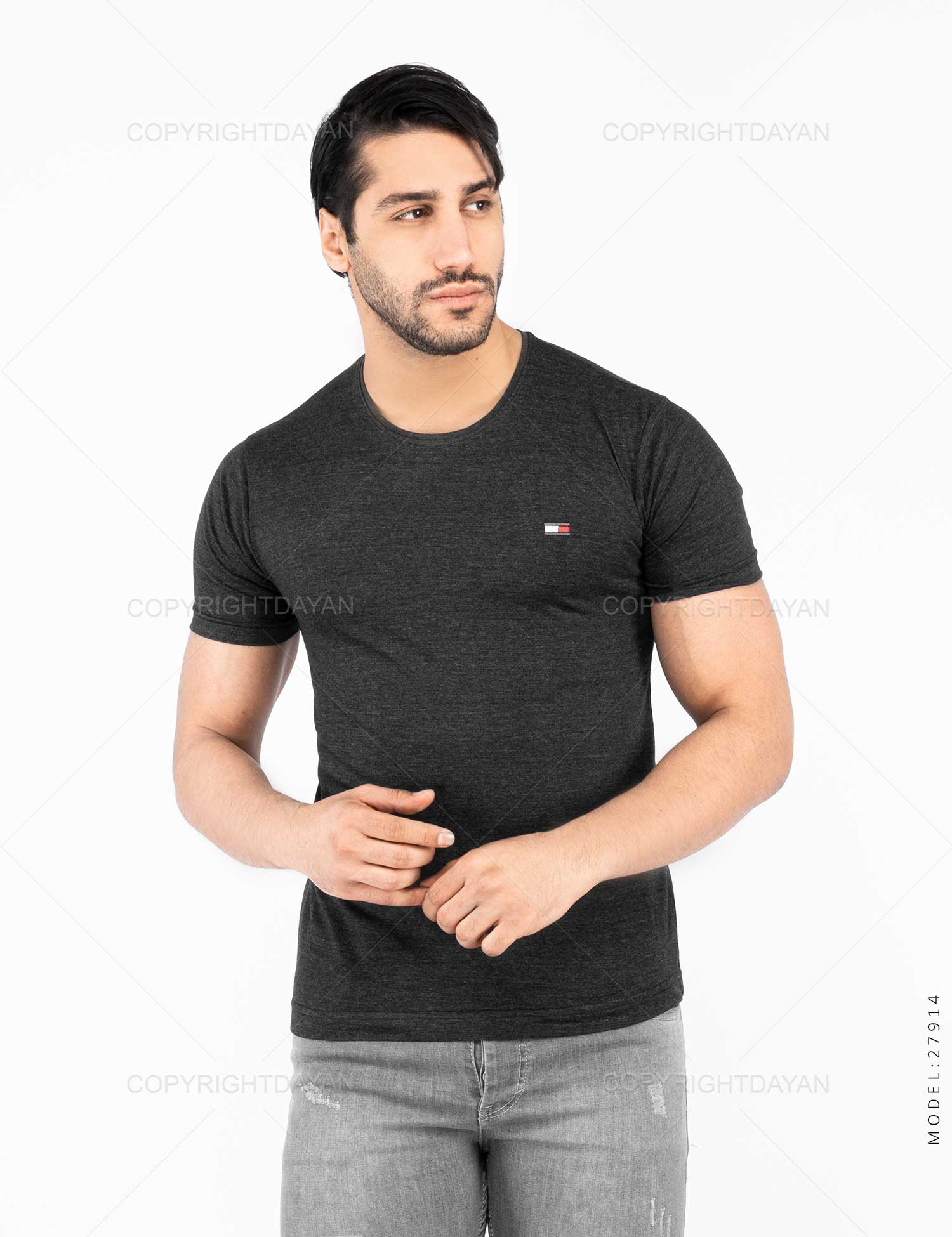تیشرت مردانه Tommy مدل 27914