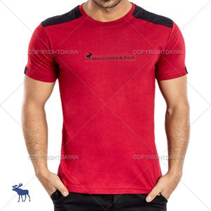 حراج تیشرت Abercrombie مدل Ryan
