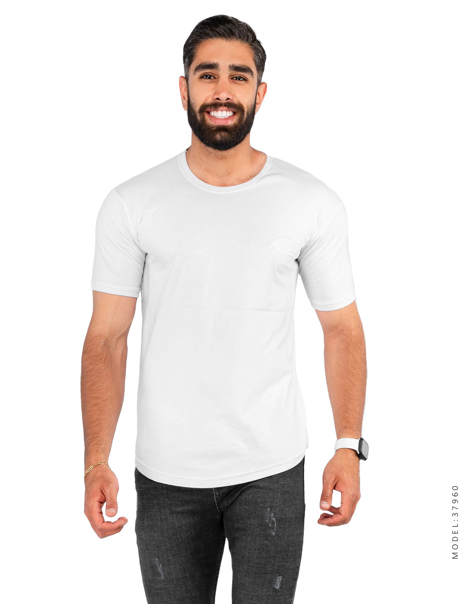 تیشرت مردانه یقه گرد Alma مدل 37960