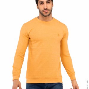 بلوز مردانه Polo مدل 33679