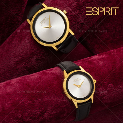 ست ساعت مردانه زنانه Esprit مدل W 1163 (نقره ای)