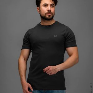 تیشرت Rayan مردانه یقه گرد مدل 41597