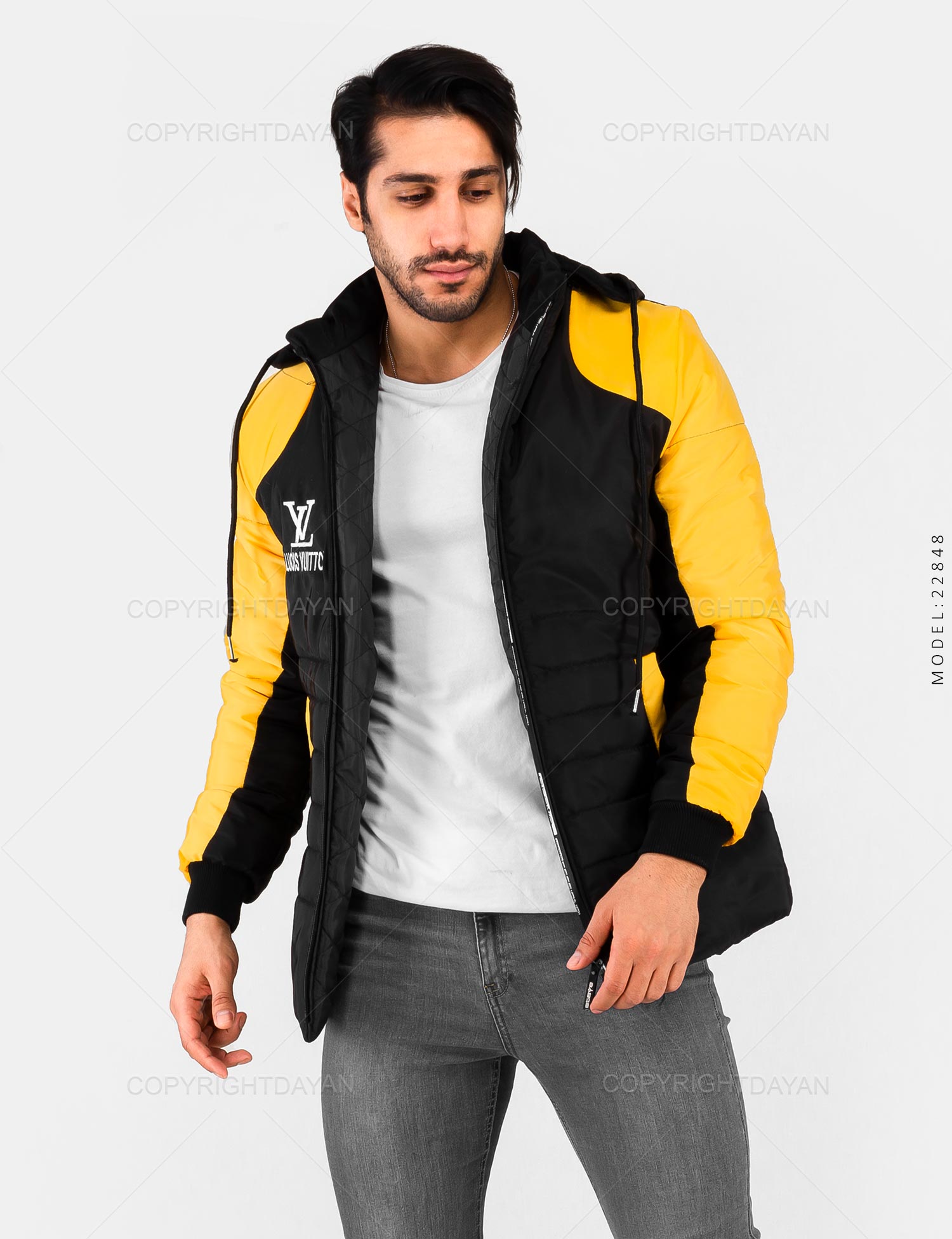 کاپشن مردانه Louis Vuitton مدل 22848
