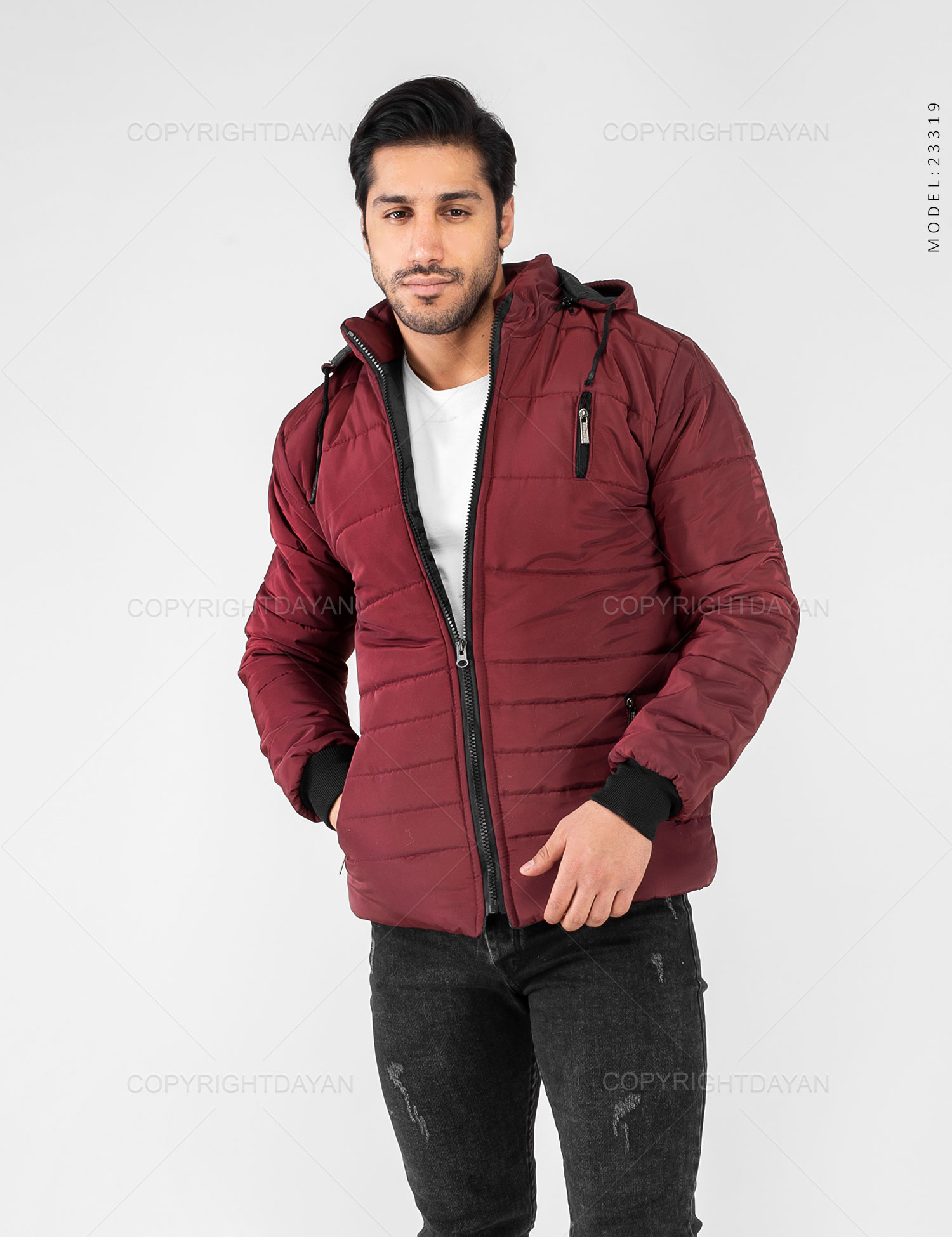 کاپشن مردانه Alvin مدل 23319