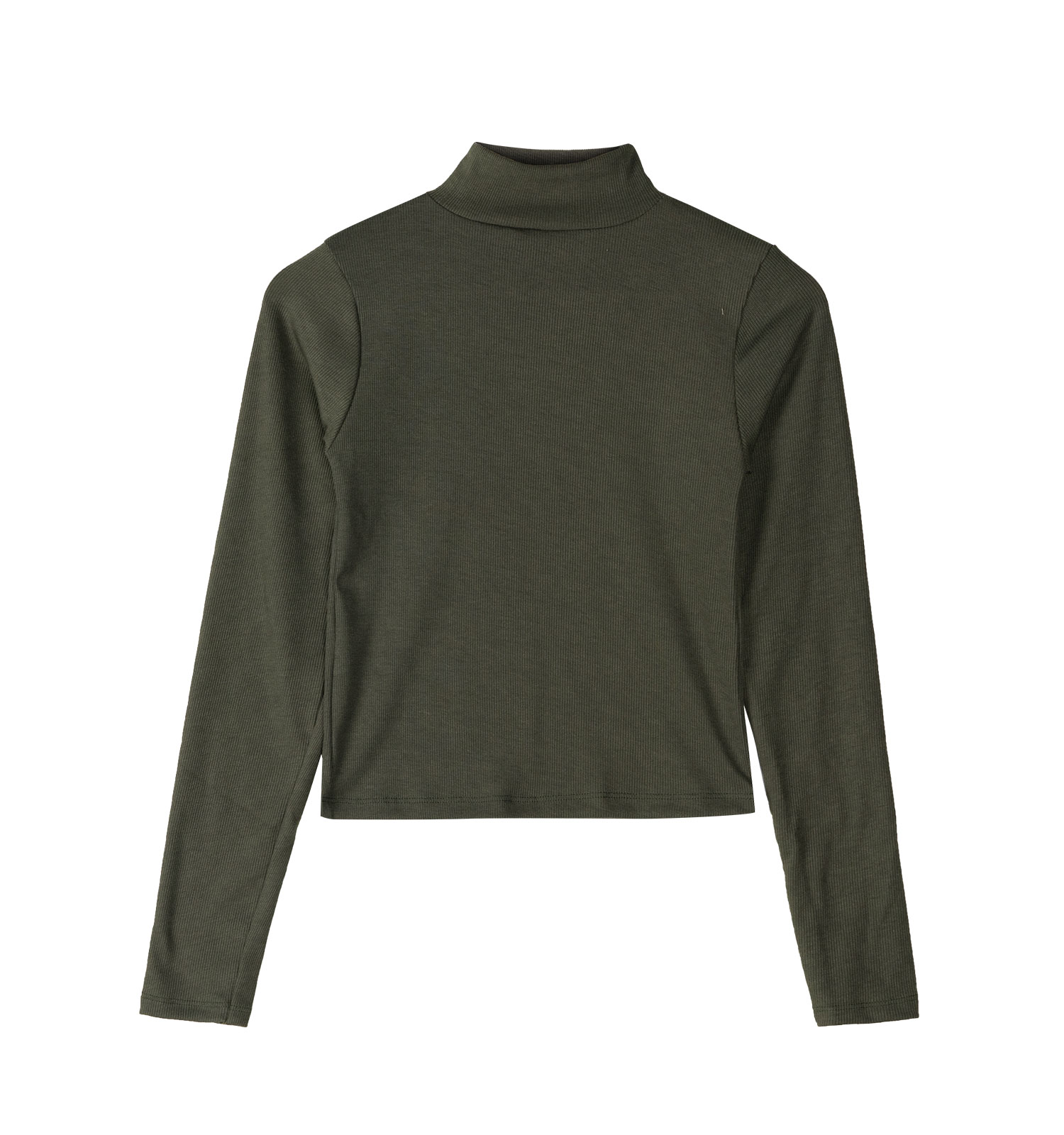 بلوز زنانه یقه اسکی ساده مدل 46024