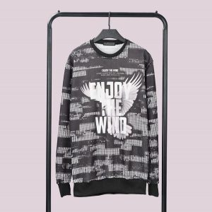 پلیور مردانه Wind مدل 3820